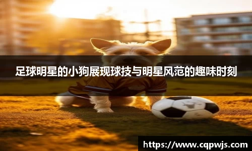 足球明星的小狗展现球技与明星风范的趣味时刻