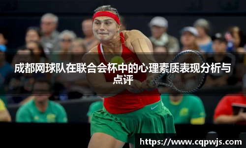 成都网球队在联合会杯中的心理素质表现分析与点评